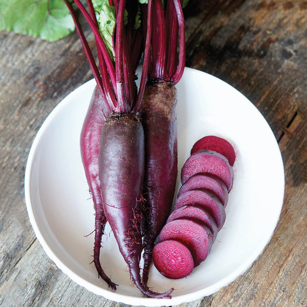 Cylindra Beet