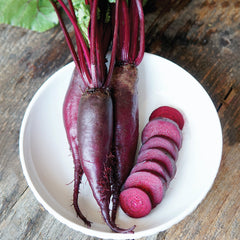 Cylindra Beet