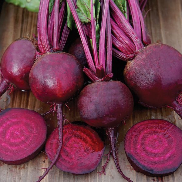 Gemini Beet