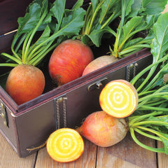 Touchstone Gold Beet