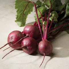 Merlin Beet