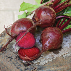 Merlin Beet