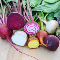 Spring Color Blend Beet