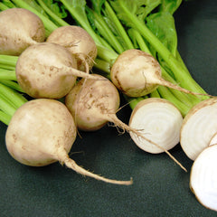 Avalanche Beet