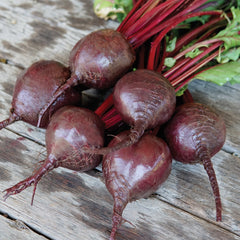 Bohan Beet