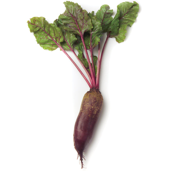 Carillon Beet