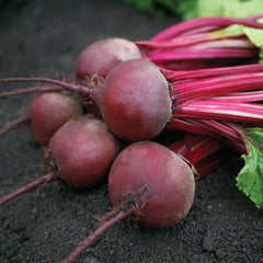 Azuma Beet