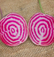 Chioggia Guardsmark Organic