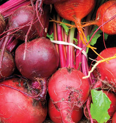 Beet Blend