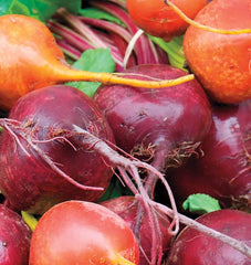 Beet Blend