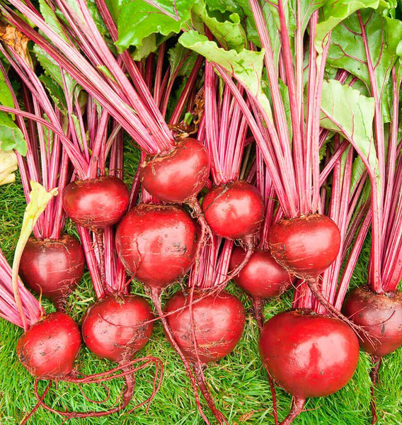 Merlin F1 Organic