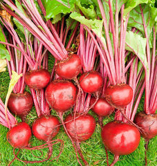 Merlin F1 Organic