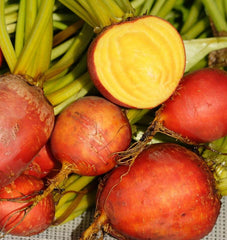 Touchstone Gold Organic