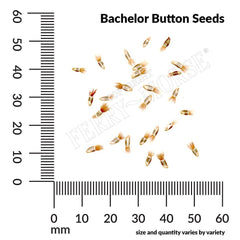 Cyanus, Bachelor Button Double Mixed Colors Seeds, 1.4g