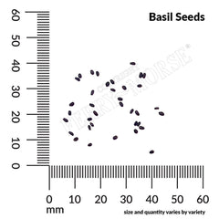 Basil, Lemon Seeds, 400mg