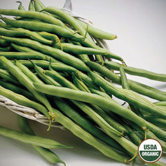 Bean, Contender Organic Seeds, 17.5g