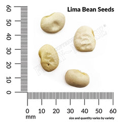 Bean, Lima Fordhook Seeds, 22.8g