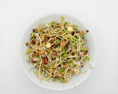 Bean Salad Organic - Seedsplant