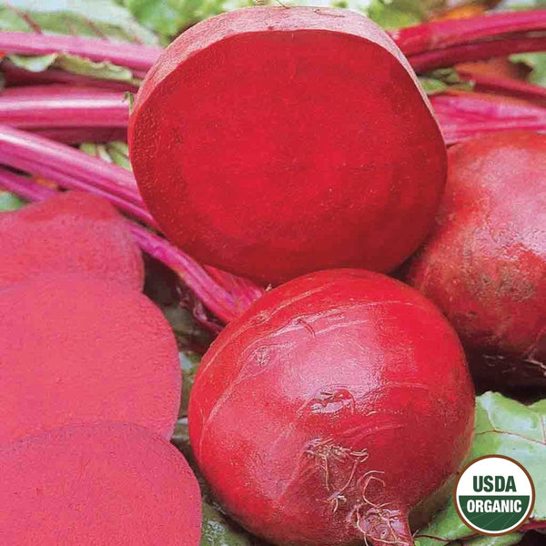 Beet, Ruby Queen Organic Seeds, 5.3g