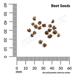 Beet, Green Top Bunching Organic Seeds, 5.3g