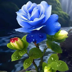 Rare Fortune Lotus