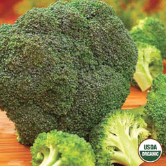 Broccoli, De Cicco Organic Seeds, 1.3g