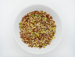 Brown Mustard Organic - Seedsplant