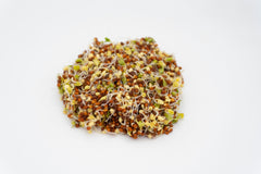 Brown Mustard Organic - Seedsplant