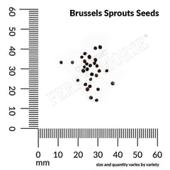 Brussel Sprouts, Catskill Seeds, 1.6g