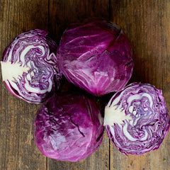 Ruby Ball Improved Cabbage
