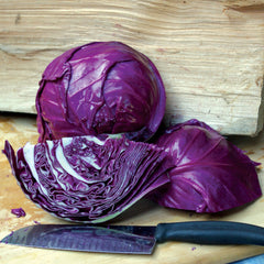 Ruby Ball Improved Cabbage
