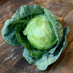 Tiara Cabbage