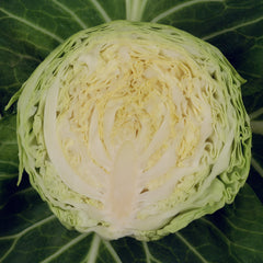 Farao F1 Organic