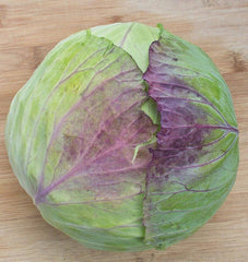 Taiwan Cabbage F1