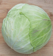 Taiwan Cabbage F1