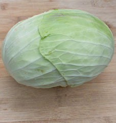 Taiwan Cabbage F1
