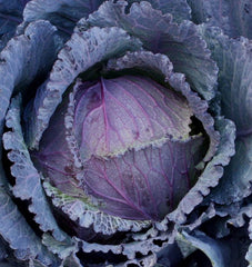 Deadon F1 Organic