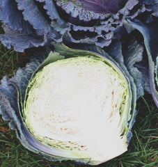 Deadon F1 Organic