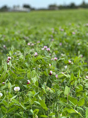 Fall Soil Builder Blend