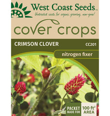 Crimson Clover