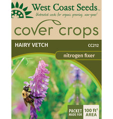 Hairy Vetch