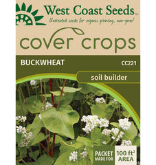 Buckwheat