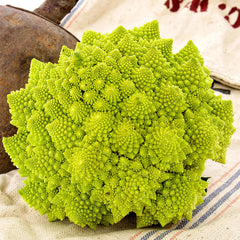 Veronica Cauliflower