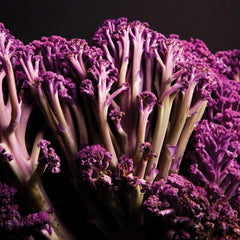 Murasaki Fioretto 70 Cauliflower
