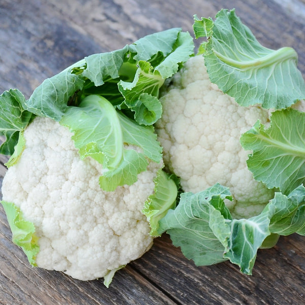 Snowbowl Cauliflower