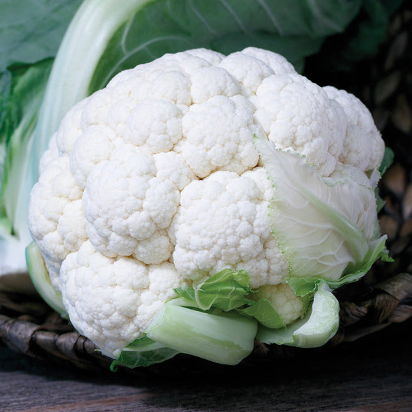 Twister Cauliflower