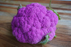 Purple Moon F1