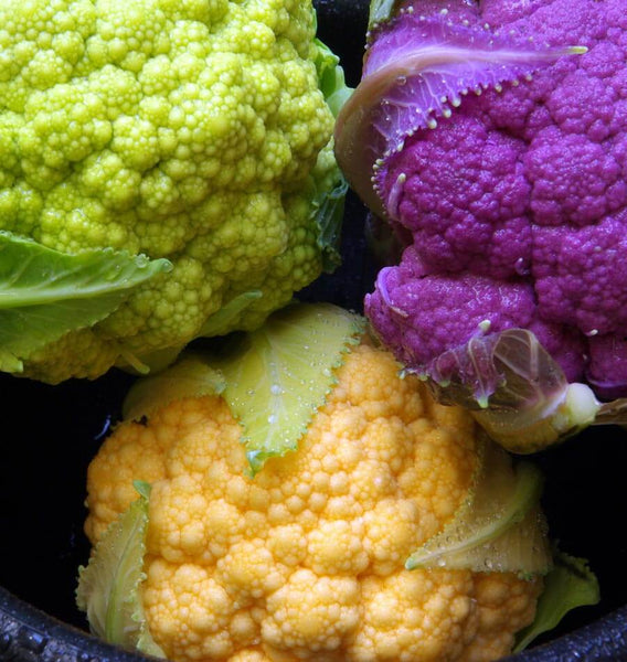 Multi-Colour Blend