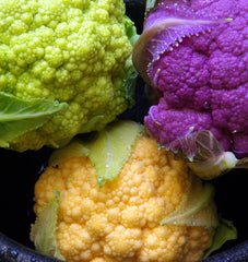 Multi-Colour Blend
