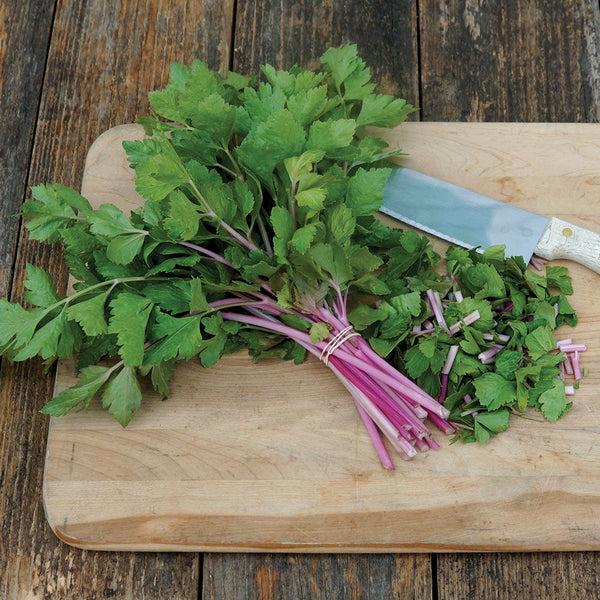 Chinese Pink Celery